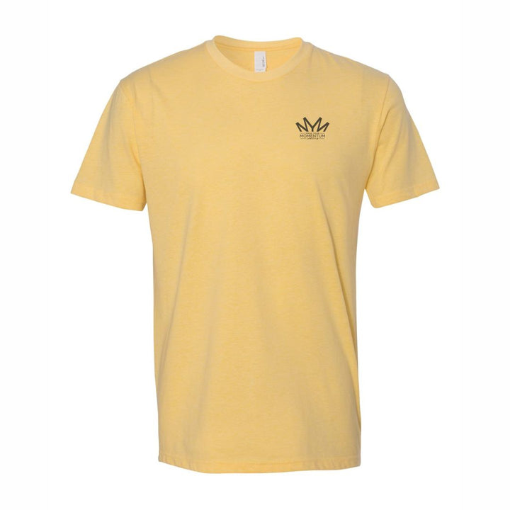 Short Sleeves | Blended T-Shirts (Lightweight)