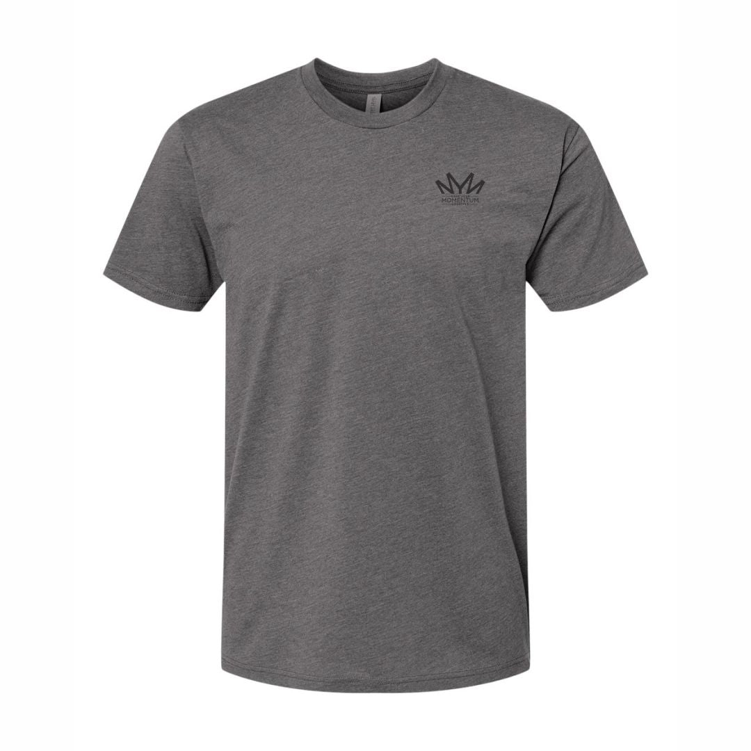 Short Sleeves | Blended T-Shirts (Lightweight)