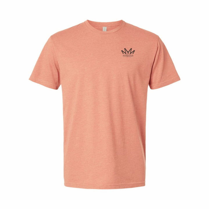 Short Sleeves | Blended T-Shirts (Lightweight)