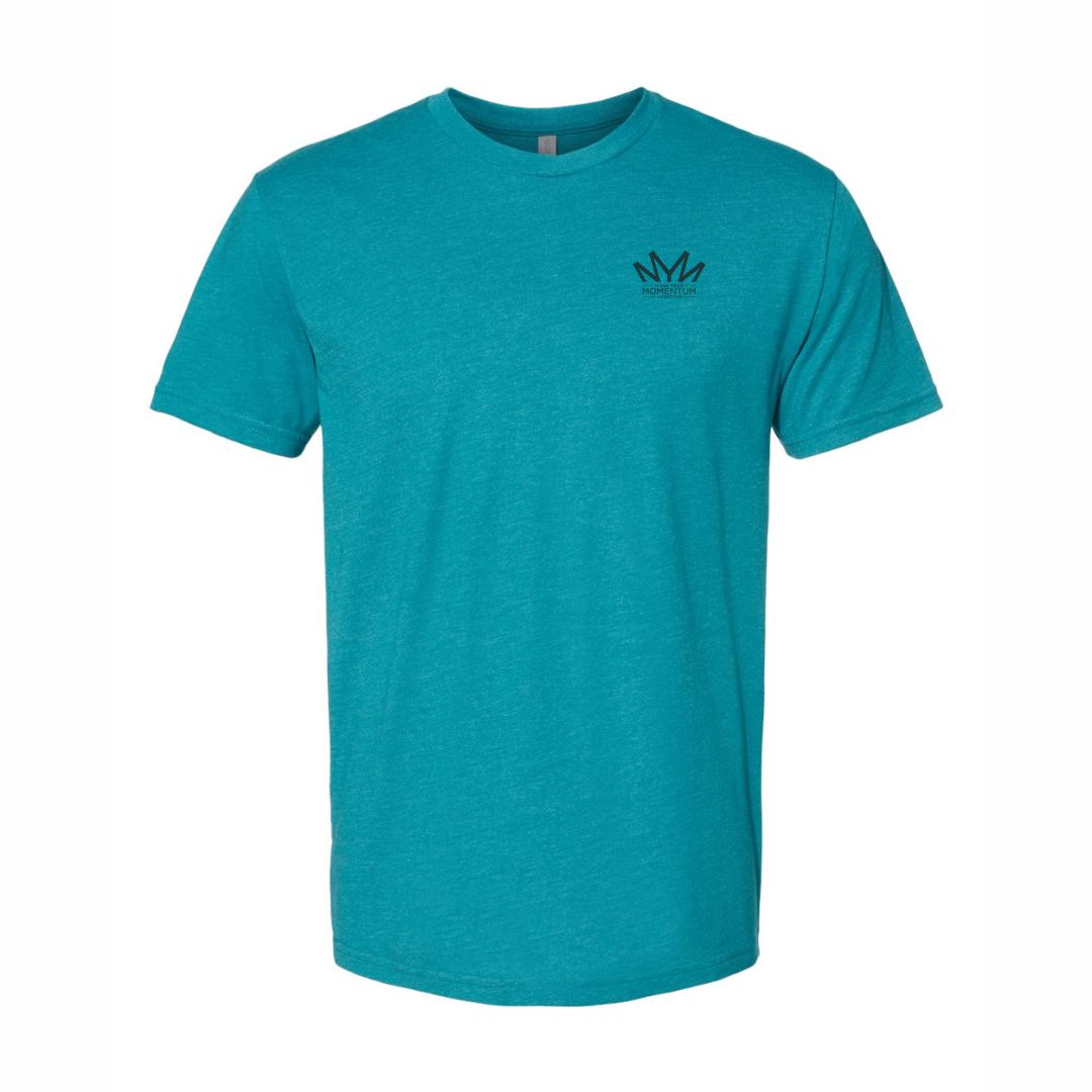 Short Sleeves | Blended T-Shirts (Lightweight)